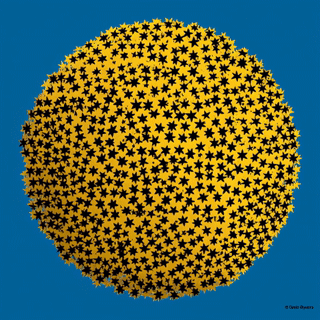 Stars Illustration By James Lee Byars